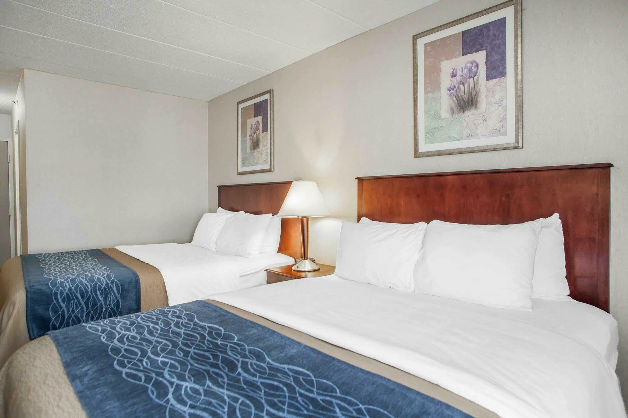 Quality Inn Near Princeton Lawrence Ngoại thất bức ảnh
